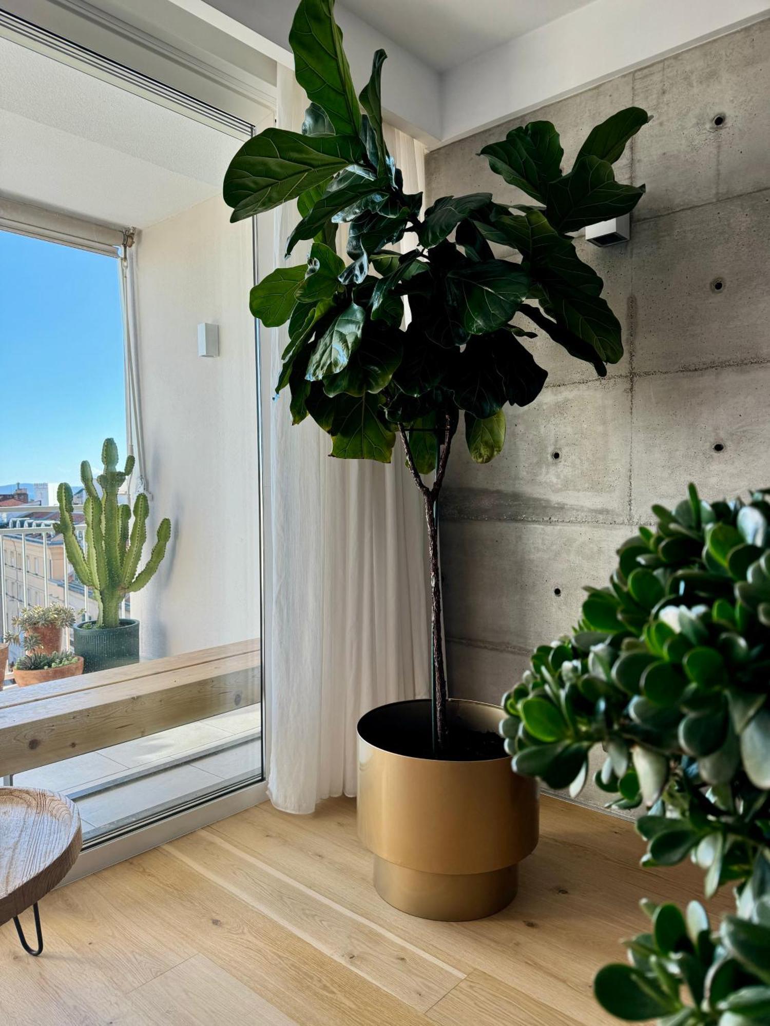 D'Art Penthouse Apartment Split Exterior foto